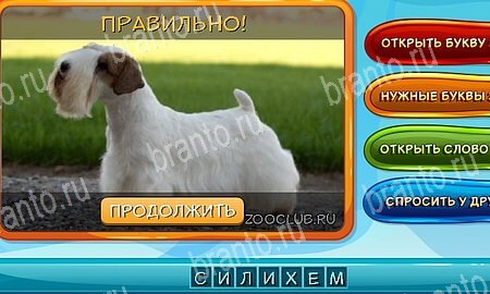 Решения на игру Собаки и кошки Эпизод 10 Уровень 229