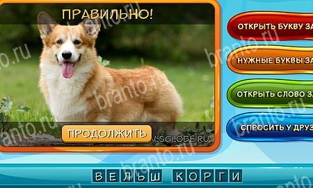 ответы к игре Собаки и кошки в контакте Уровень 231