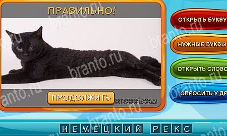 ответы на игру в одноклассниках Собаки и кошки Уровень 232