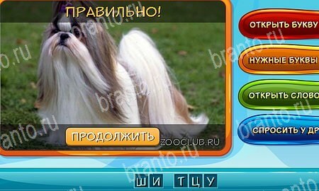 Собаки и кошки подсказки в контакте Уровень 235