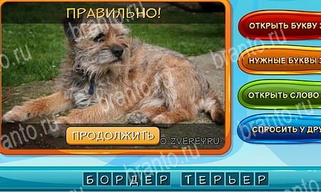 игра Собаки и кошки разгадки, ответ на Уровень 236