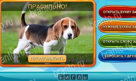 решебник на игру Собаки и кошки Уровень 237