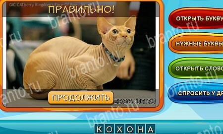 Собаки и кошки игра ответы на все задания Уровень 239