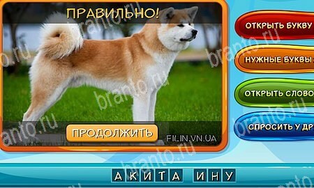 Собаки и кошки ответы в картинках в контакте Уровень 242