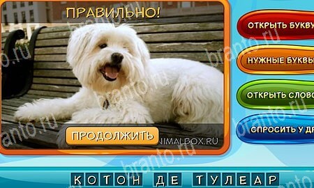 Игра Собаки и кошки ответы одноклассники, вк Уровень 243
