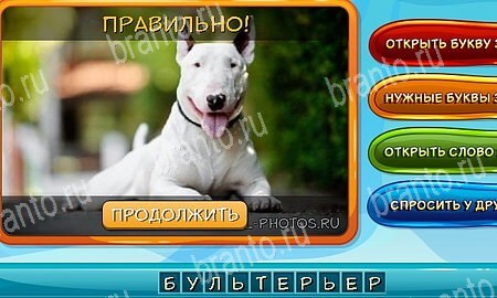 игра Собаки и кошки помощь одноклассники Уровень 245