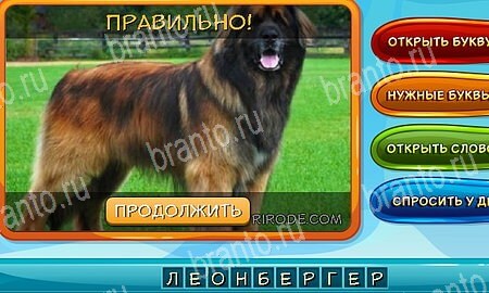 игра Собаки и кошки ответы в одноклассниках на Уровень 246