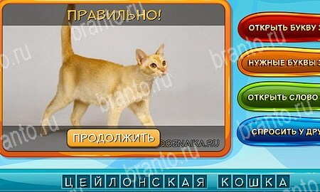 Собаки и кошки игра из одноклассников решения Уровень 248