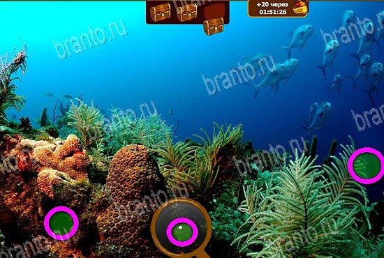 игра Сокровища морей ответ на Уровень 41