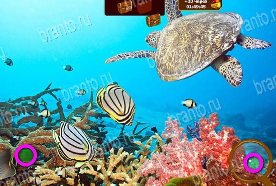 Сокровища морей решения Уровень 43