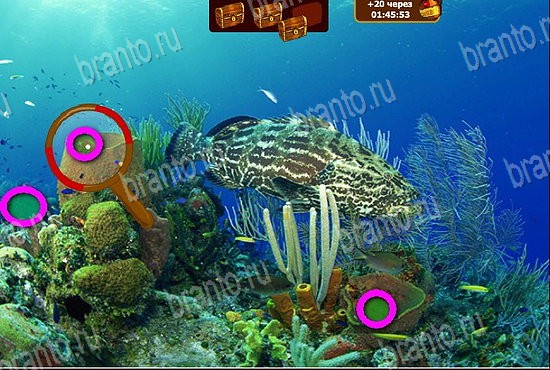 Сокровища морей игра в одноклассниках помощь Уровень 46