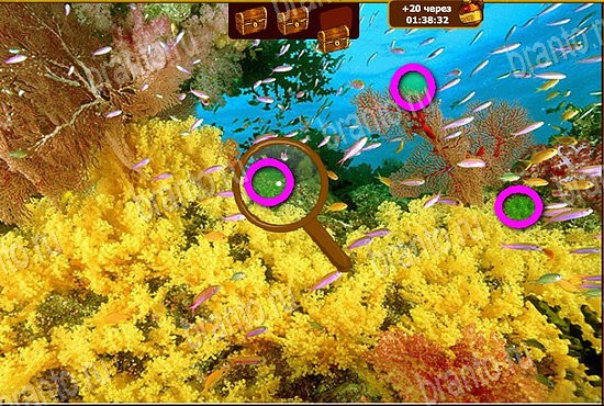 Сокровища морей игра ответы Уровень 54