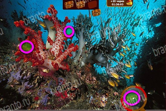 Сокровища морей ответы в картинках Уровень 57