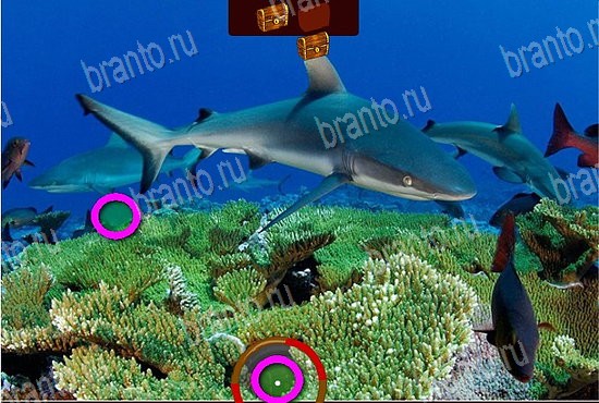 ответы на игру в одноклассниках Сокровища морей Уровень 67