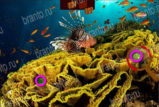 игра Сокровища морей ответ на Уровень 71