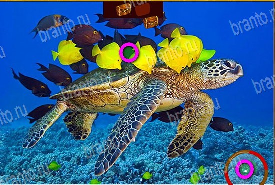 Сокровища морей игра ответы Уровень 74