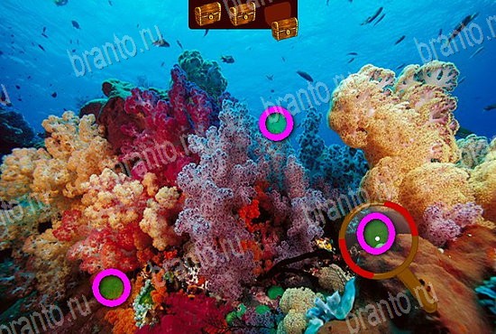 Игра Сокровища морей ответы вк Уровень 78