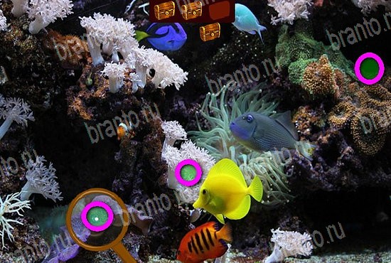 игра Сокровища морей ответы в одноклассниках на Уровень 81