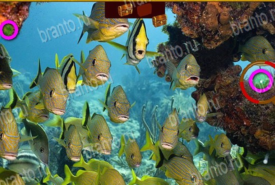 Сокровища морей игра подсказки Уровень 85