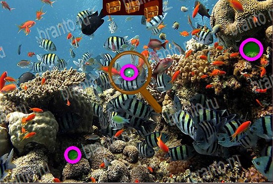 Игра Сокровища морей ответы вконтакте Уровень 88