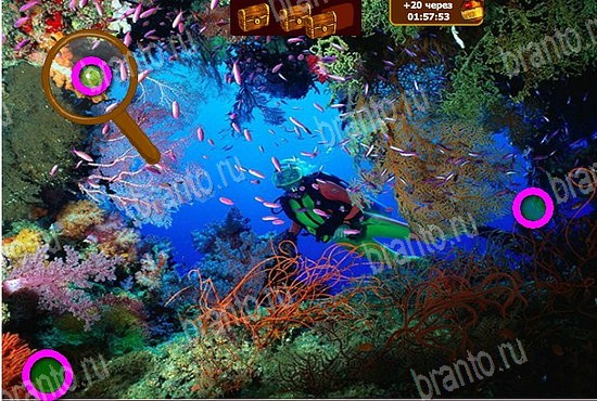 Одноклассники Сокровища морей ответы Уровень 99