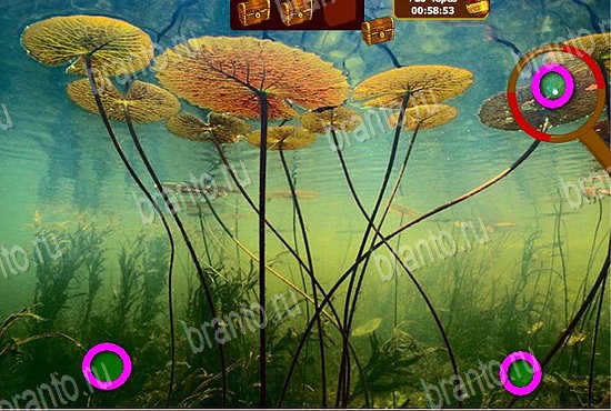 Сокровища морей игра ответы Уровень 114