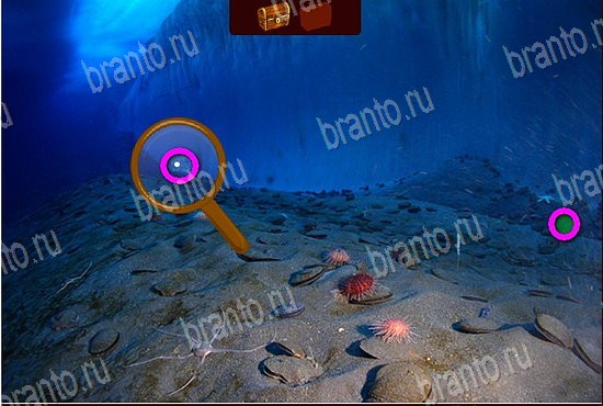Сокровища морей решения Уровень 133