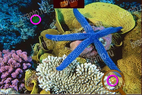 Игра Сокровища морей подсказки вк Уровень 139