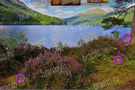 Игра Сокровища морей ответы вконтакте Уровень 148