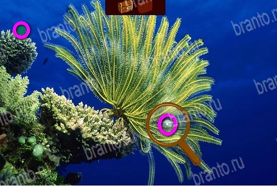 Игра Сокровища морей ответы вк Уровень 168