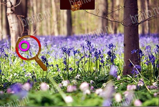 Сокровища морей ответы в картинках Уровень 327