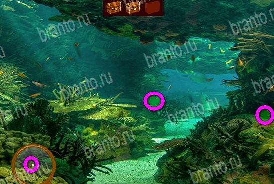 Одноклассники Сокровища морей ответы Уровень 189