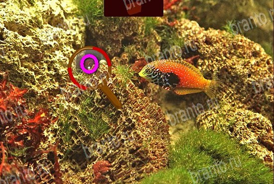 Игра Сокровища морей подсказки вк Уровень 199