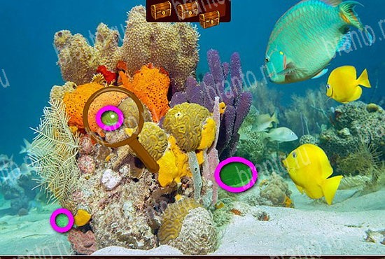 Сокровища морей решения Уровень 203