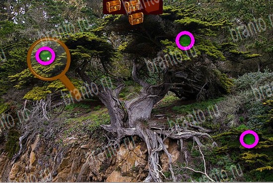 Сокровища морей игра ответы Уровень 204