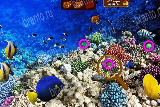 Игра Сокровища морей ответы вконтакте Уровень 208