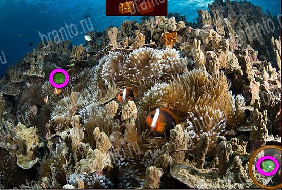 Сокровища морей игра ответы в одноклассниках Уровень 218