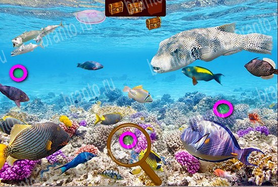 игра Сокровища морей ответ на Уровень 221