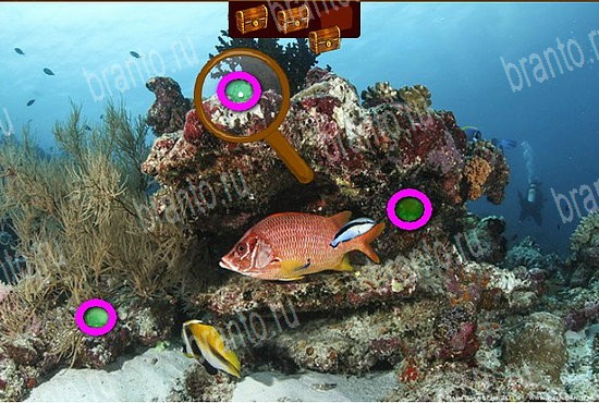 Сокровища морей решения Уровень 223