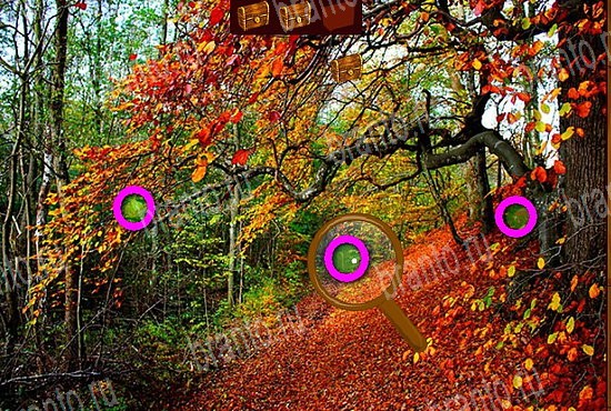 Сокровища морей ответы в картинках в контакте Уровень 227