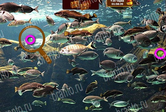 Игра Сокровища морей подсказки вк Уровень 229