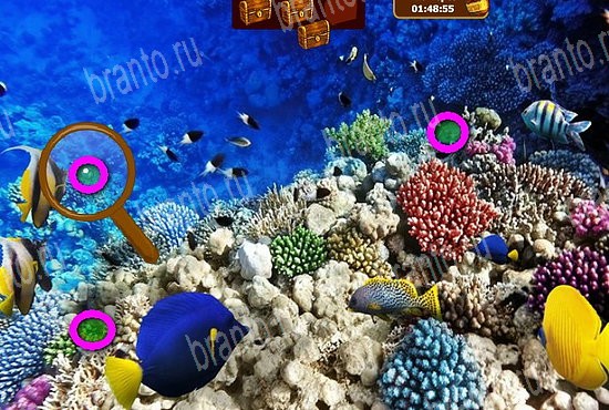 Сокровища морей игра помощь в контакте Уровень 236