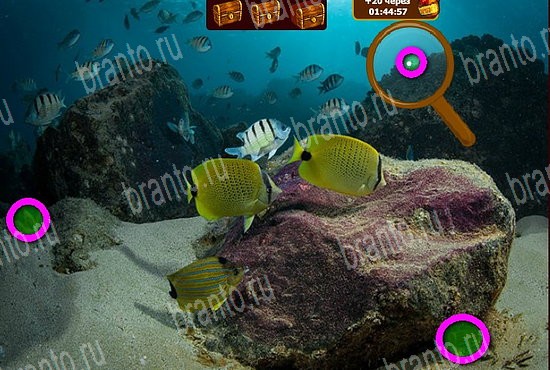 Игра Сокровища морей подсказки вконтакте Уровень 239