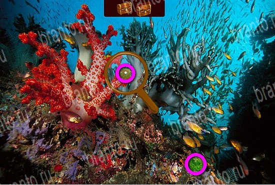 Сокровища морей подсказки в контакте Уровень 250