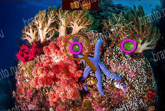 Сокровища морей ответы в картинках Уровень 267