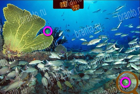 Игра Сокровища морей подсказки одноклассники Уровень 270