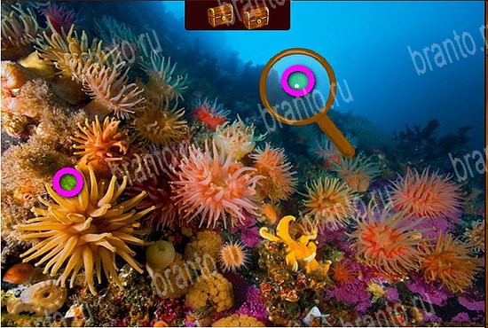 ответы на игру в одноклассниках Сокровища морей Уровень 277