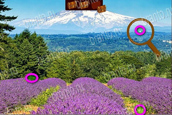 Решения на игру Сокровища морей в контакте Уровень 334