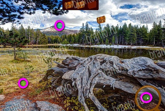 ответы на игру Сокровища морей в одноклассниках Уровень 361