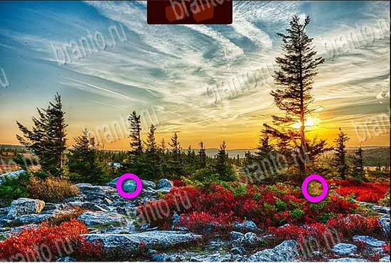 ответы к игре Сокровища морей Уровень 366